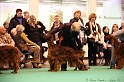 Crufts2011_2 160